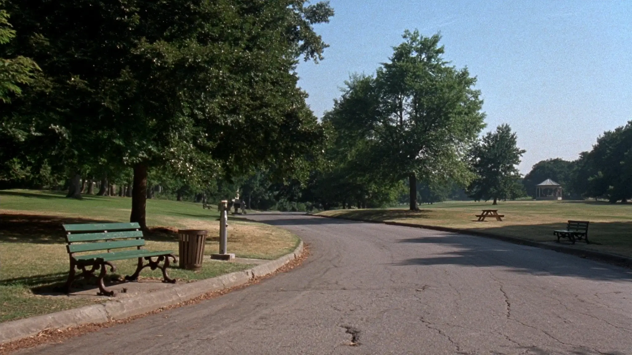 The park